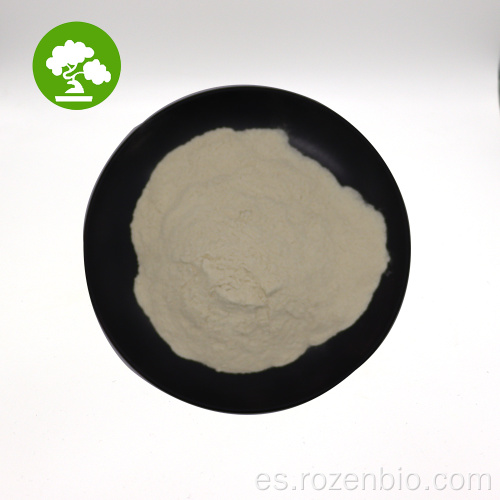 Polvo de la proteína de arroz orgánico soluble en agua